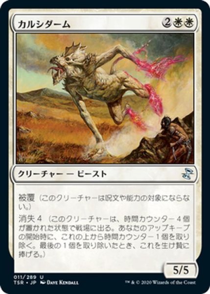 画像1: 【JPN】カルシダーム/Calciderm[MTG_TSR_011U] (1)