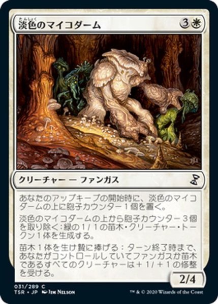 画像1: 【JPN】淡色のマイコダーム/Pallid Mycoderm[MTG_TSR_031C] (1)