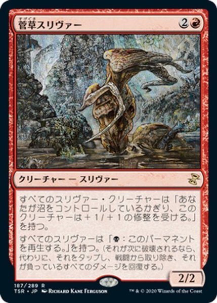 画像1: 【JPN】菅草スリヴァー/Sedge Sliver[MTG_TSR_187R] (1)