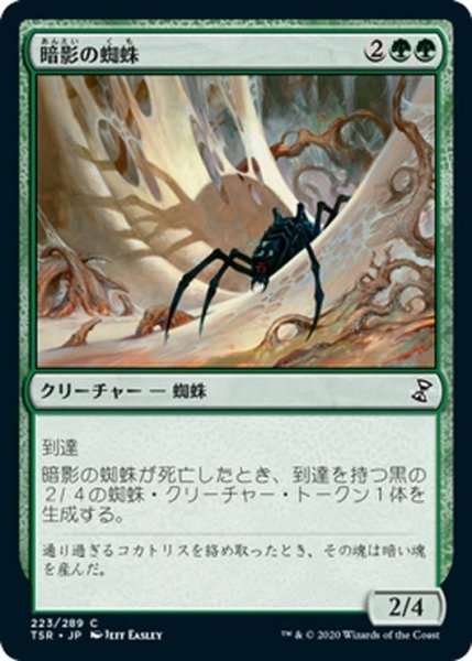 画像1: 【JPN】暗影の蜘蛛/Penumbra Spider[MTG_TSR_223C] (1)