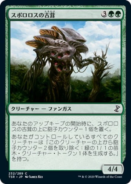 画像1: 【JPN】スポロロスの古茸/Sporoloth Ancient[MTG_TSR_232C] (1)