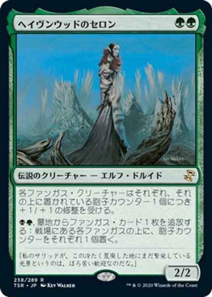 画像1: 【JPN】ヘイヴンウッドのセロン/Thelon of Havenwood[MTG_TSR_238R] (1)