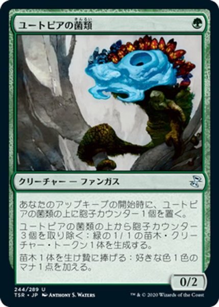 画像1: 【JPN】ユートピアの菌類/Utopia Mycon[MTG_TSR_244U] (1)