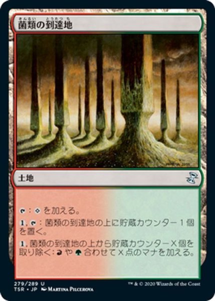 画像1: 【JPN】菌類の到達地/Fungal Reaches[MTG_TSR_279U] (1)