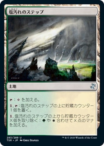 画像1: 【JPN】塩汚れのステップ/Saltcrusted Steppe[MTG_TSR_283U] (1)