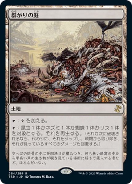 画像1: 【JPN】群がりの庭/Swarmyard[MTG_TSR_284R] (1)