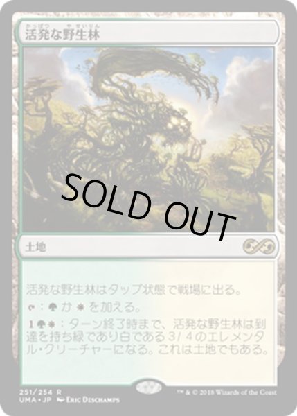 画像1: 【JPN】活発な野生林/Stirring Wildwood[MTG_UMA_251R] (1)