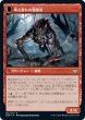 画像2: 【JPN】不機嫌な一匹狼/吠え群れの報復者/Ill-Tempered Loner/Howlpack Avenger[MTG_VOW_162R] (2)