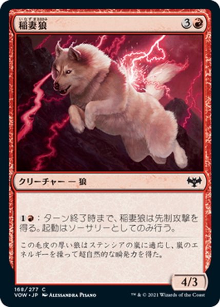 画像1: 【JPN】稲妻狼/Lightning Wolf[MTG_VOW_168C] (1)