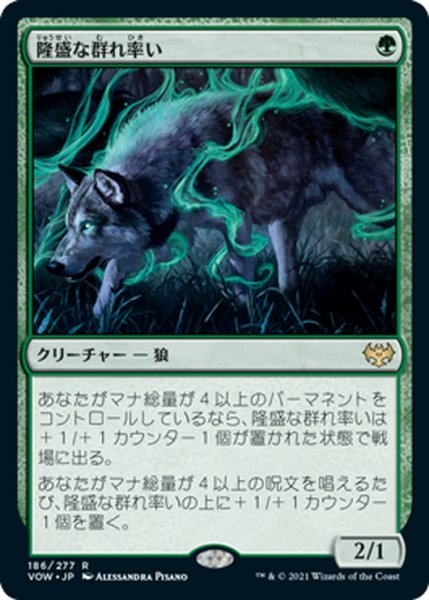 画像1: 【JPN】隆盛な群れ率い/Ascendant Packleader[MTG_VOW_186R] (1)