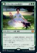 画像1: 【JPN】アヴァブルックの世話人/ホロウヘンジの猟匠/Avabruck Caretaker/Hollowhenge Huntmaster[MTG_VOW_187M] (1)