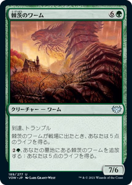 画像1: 【JPN】棘茨のワーム/Bramble Wurm[MTG_VOW_189U] (1)