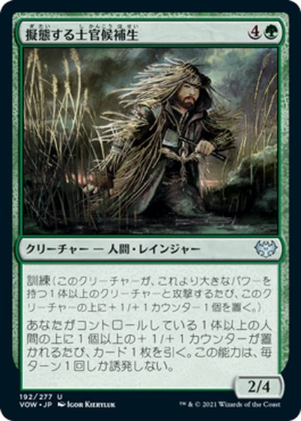 画像1: 【JPN】擬態する士官候補生/Cloaked Cadet[MTG_VOW_192U] (1)