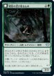 画像1: 【JPN】樫影の忍び寄るもの/月光の待ち伏せるもの/Oakshade Stalker/Moonlit Ambusher[MTG_VOW_212U] (1)