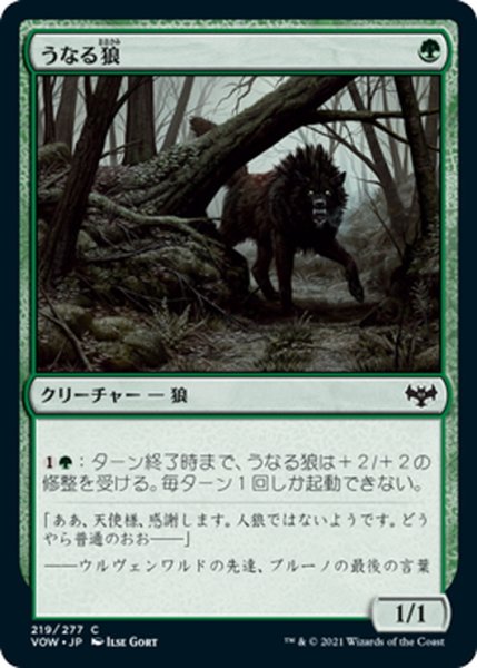 画像1: 【JPN】うなる狼/Snarling Wolf[MTG_VOW_219C] (1)