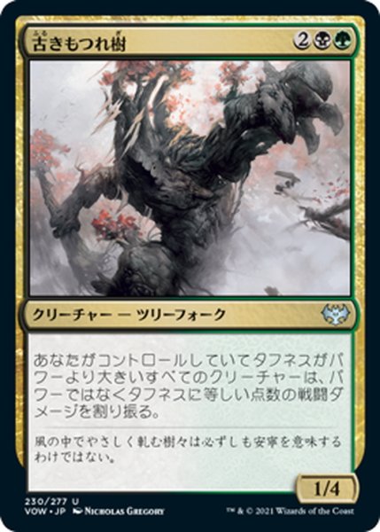 画像1: 【JPN】古きもつれ樹/Ancient Lumberknot[MTG_VOW_230U] (1)