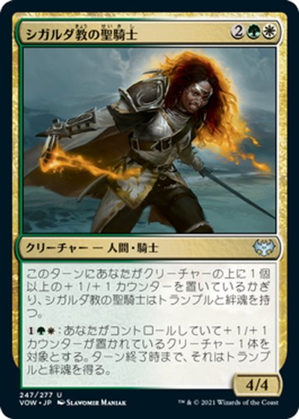 画像1: 【JPN】シガルダ教の聖騎士/Sigardian Paladin[MTG_VOW_247U] (1)