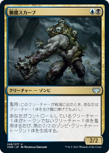 画像1: 【JPN】髑髏スカーブ/Skull Skaab[MTG_VOW_248U] (1)