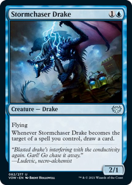 画像1: 【ENG】嵐追いのドレイク/Stormchaser Drake[MTG_VOW_082U] (1)