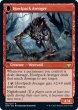 画像2: 【ENG】不機嫌な一匹狼/吠え群れの報復者/Ill-Tempered Loner/Howlpack Avenger[MTG_VOW_162R] (2)