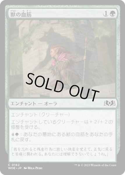 画像1: 【JPN】獣の血筋/Bestial Bloodline[MTG_WOE_0162_C] (1)