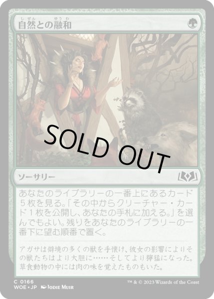 画像1: 【JPN】自然との融和/Commune with Nature[MTG_WOE_0166_C] (1)