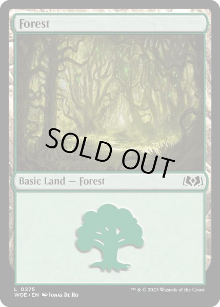 画像1: 【ENG】森/Forest[MTG_WOE_0275_L] (1)