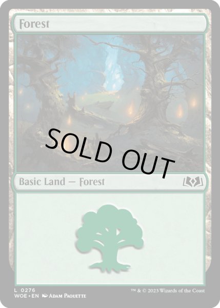 画像1: 【ENG】森/Forest[MTG_WOE_0276_L] (1)