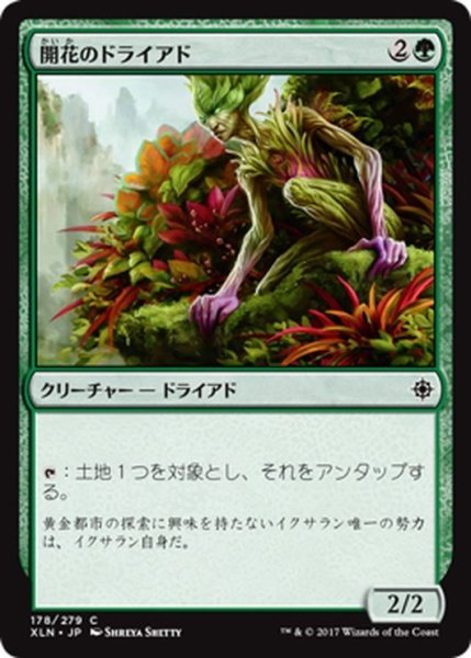 画像1: 【JPN】開花のドライアド/Blossom Dryad[XLN_178C] (1)