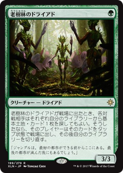 画像1: 【JPN】老樹林のドライアド/Old-Growth Dryads[XLN_199R] (1)