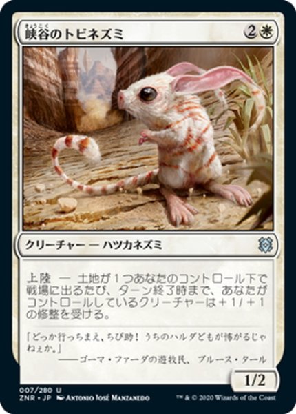 画像1: 【JPN】峡谷のトビネズミ/Canyon Jerboa[MTG_ZNR_007U] (1)