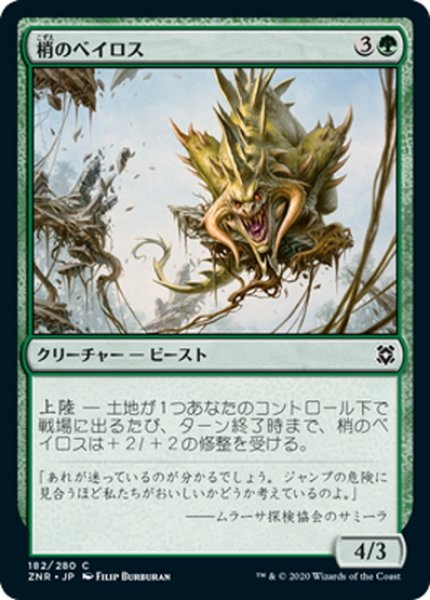 画像1: 【JPN】梢のベイロス/Canopy Baloth[MTG_ZNR_182C] (1)