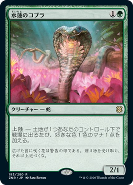 画像1: 【JPN】★Foil★水蓮のコブラ/Lotus Cobra[MTG_ZNR_193R] (1)