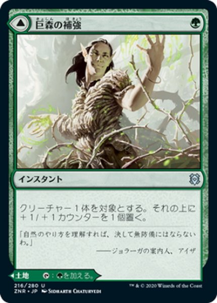 画像1: 【JPN】巨森の補強/巨森の茂み/Vastwood Fortification/Vastwood Thicket[MTG_ZNR_216U] (1)