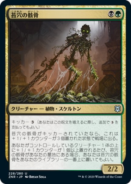 画像1: 【JPN】苔穴の骸骨/Moss-Pit Skeleton[MTG_ZNR_228U] (1)