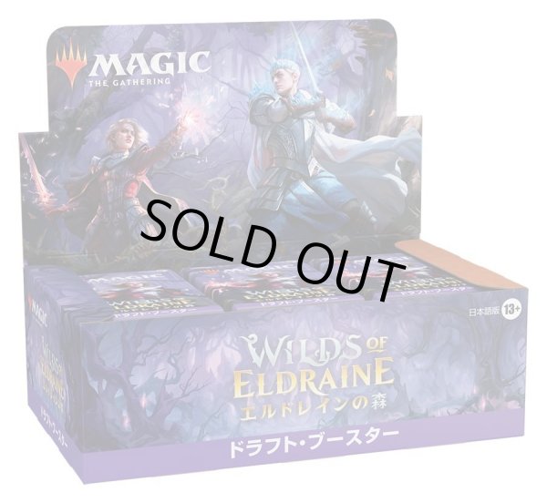 画像1: MAGIC The Gathering　エルドレインの森　ドラフト・ブースター　日本語(1BOX・36パック入)[新品商品] (1)