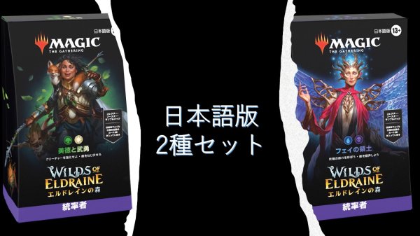 画像1: MAGIC The Gathering　エルドレインの森　統率者デッキ 2種セット　日本語 (2種1個ずつ) [新品商品] (1)